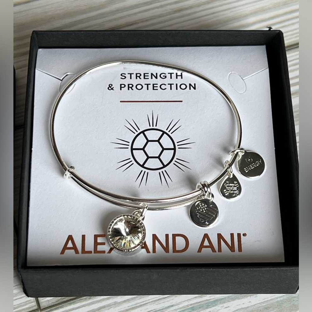 Alex and Ani Love and Clarity Bangle Bracelet - Picture 4 of 4